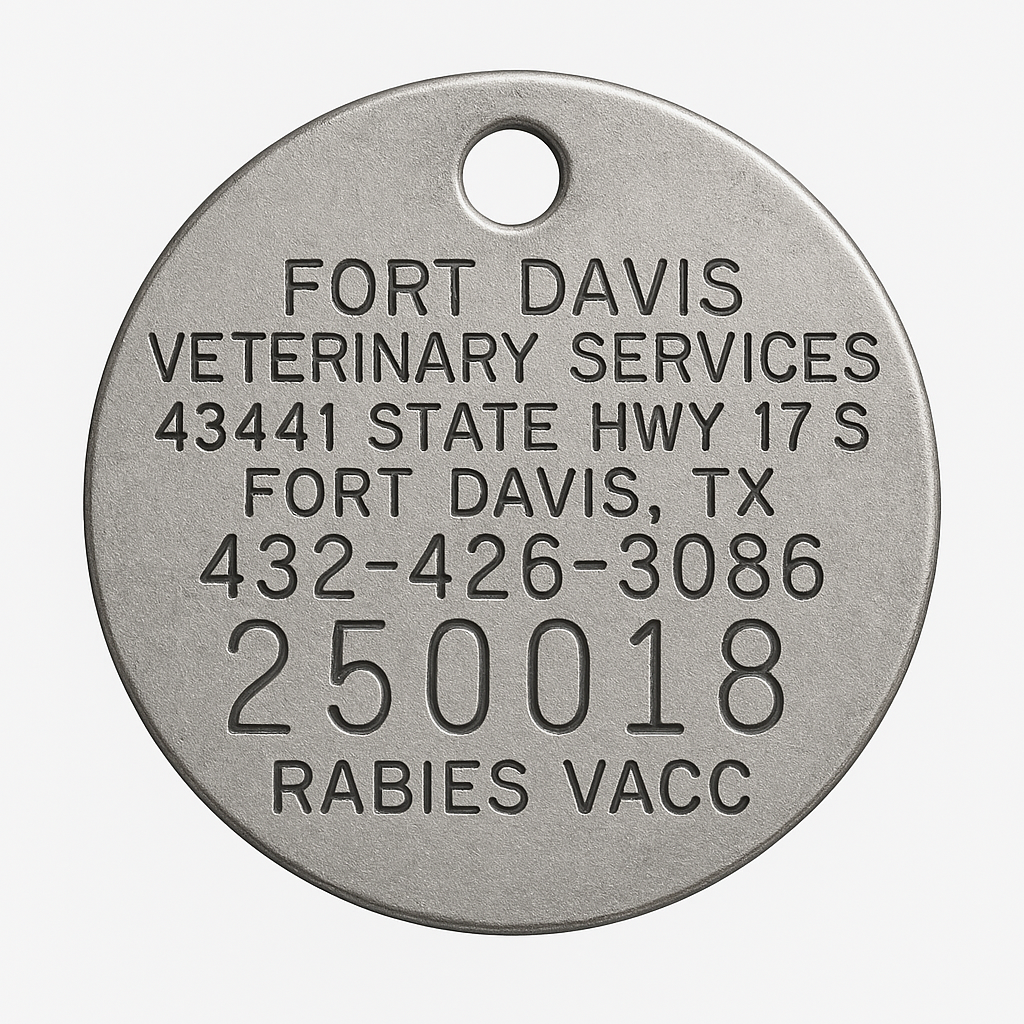 Sadie's Rabies Tag